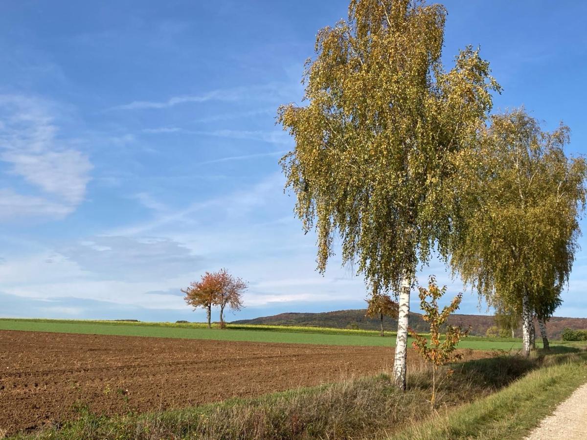 Ferienwohnung Franken Hallerndorf Bagian luar foto